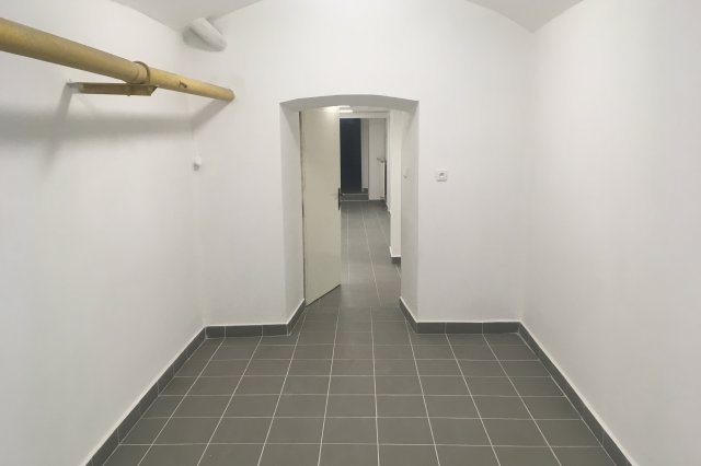 Základní charakteristika a funkce sanačních omítek při sanaci vlhkého zdiva.