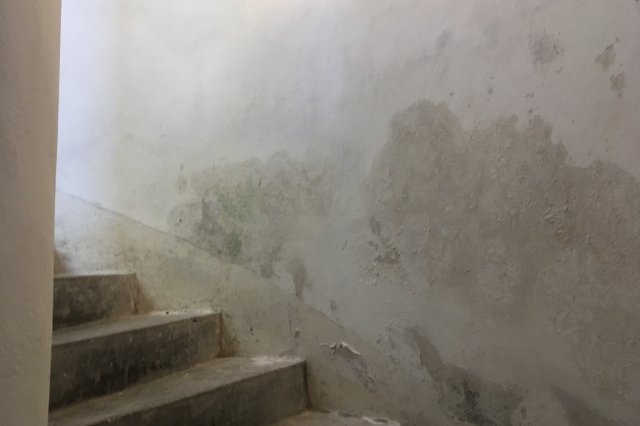 Zasolení zdiva - vliv vodorozpustných solí na zdivo a omítky.