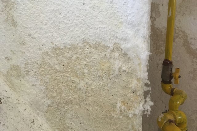 Zasolení zdiva - vliv vodorozpustných solí na zdivo a omítky.