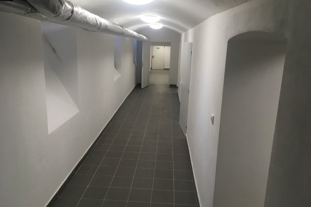 Jak probíhá profesionální sanace vlhkého zdiva krok za krokem.